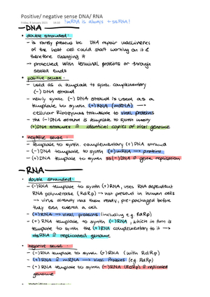 negative/ positive RNA/ DNA explained
