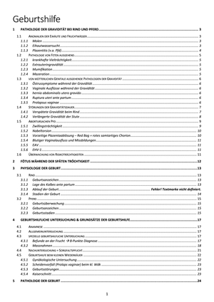 Zusammenfassung Geburtshilfe