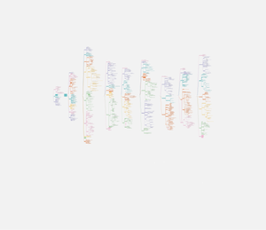 FS26_Motivationspsychologie_Mind Maps