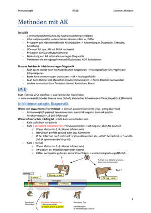 Titel des Files