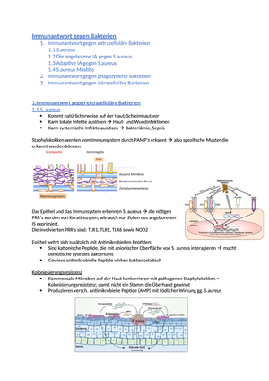 Immunologie ZSMF FS21