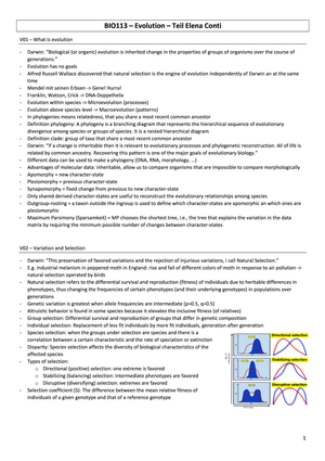 Zusammenfassung HS19