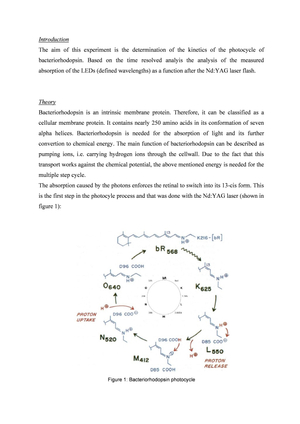 Laserspectroscopy report version 2