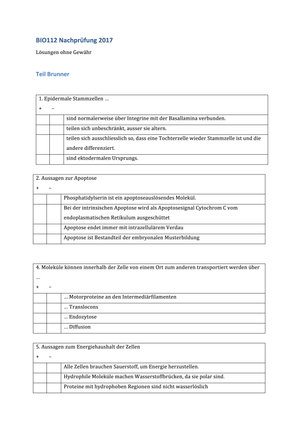 Titel des Files