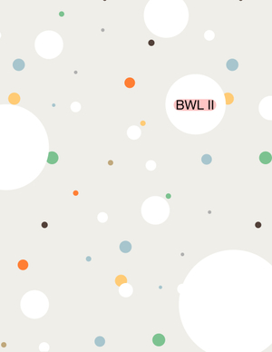 Zusammenfassung BWL II (alle 3 Teile)