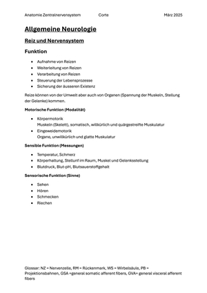 Titel des Files