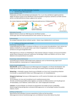 Zusammenfassung BIO132