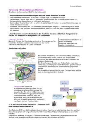 Emotionen und Gefühle