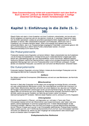Titel des Files