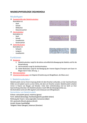 Muskelphysiologie 1.JK Ogunshola