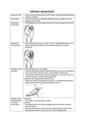 Pfd Kolik  - RU Befunde