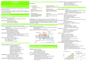 Zusammenfassung Teil Evolution HS2025