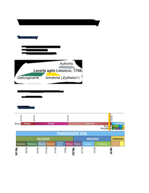 Bio113 Zusammenfassung (Biodiversiität Teil 1)