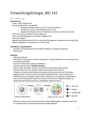 Titel des Files