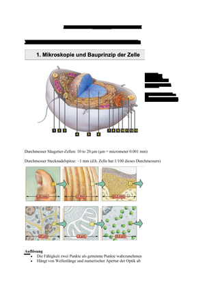 Zusammenfassung HS20