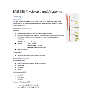 BME235 Physiologie und Anatomie 1