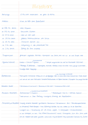 Zusammenfassung Wirbeltiere