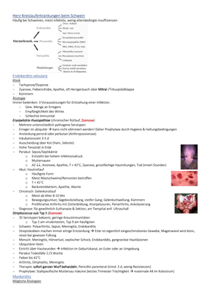 Titel des Files