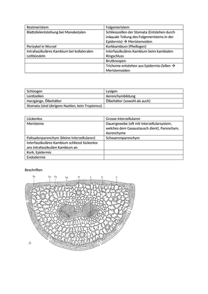 Titel des Files