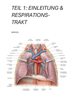 Lunge Atmung Zusammenfassung (Teil 1)