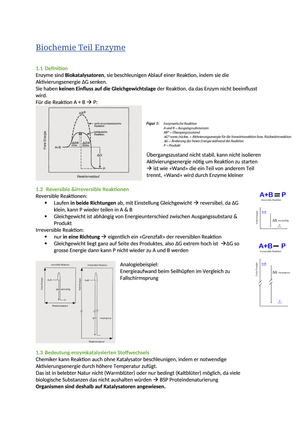 Biochemie Teil Enzyme