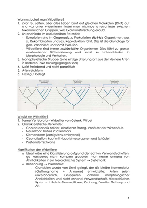 BIO121_Zusammenfassung_Wirbeltiere