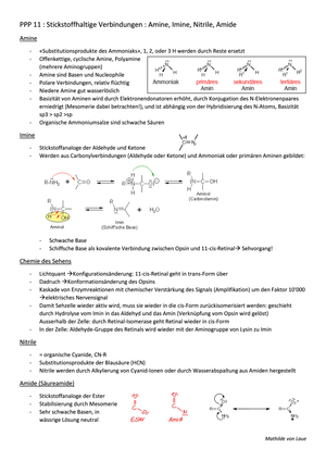 OC, Prof. Landau: Stickstoffhaltige Verbindungen
