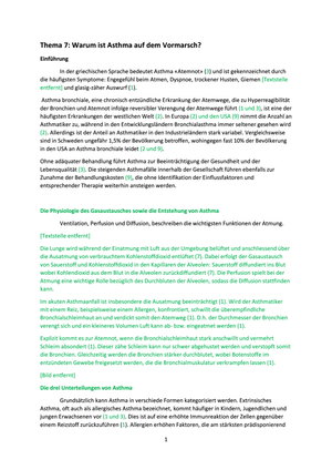 Beispiel einer Semesterarbeit