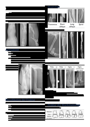 Frakturbehandlung Kleintiere (Deutsch)