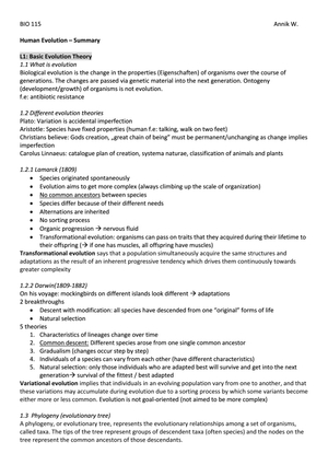 Human Evolution Summary