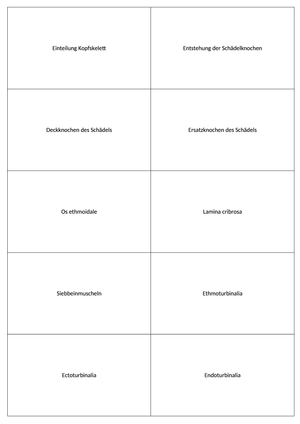 Anatomie Karten Schädel