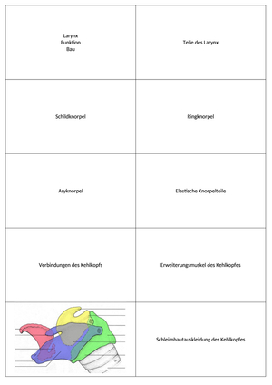 Anatomie Karten Kehlkopf
