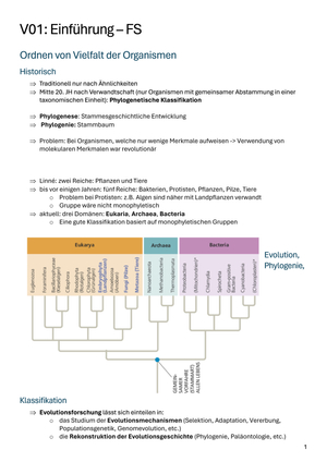 Titel des Files