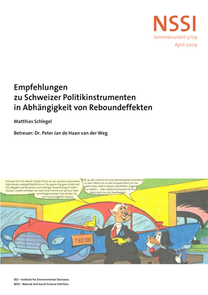 Semesterarbeit ETHZ: CH-Politikinstr. Reboundeffek