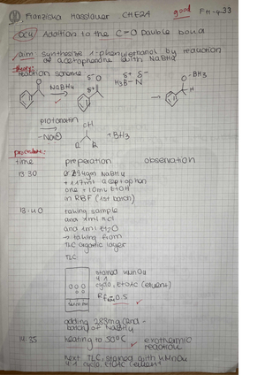 Addition to the C=O Double Bond: Lab Journal