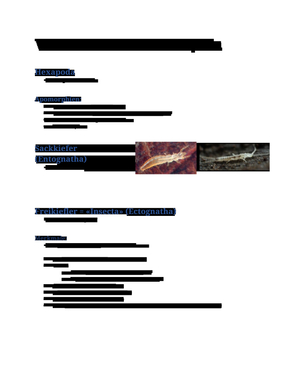 Bio113 Zusammenfassung (Biodiversiität Teil 2)