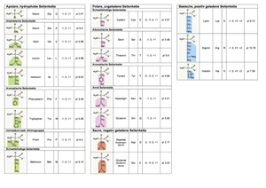 Aminosäuren Übersicht FS22