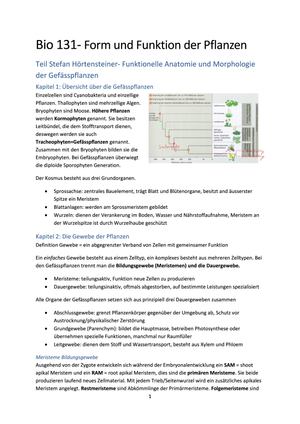 Titel des Files