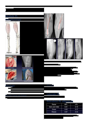 Kleintiere Patella Luxation