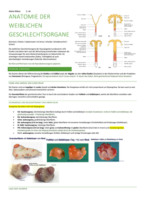 Organblock Fortpflanzung, Milchdrüse