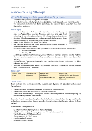Titel des Files