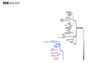 Marketing Zusammenfassung