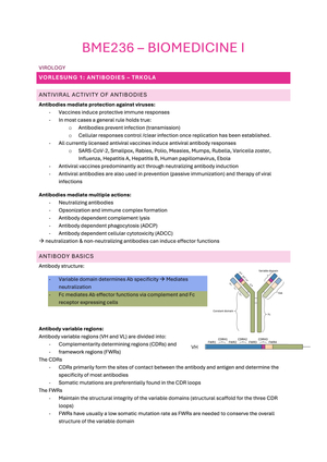 BME236 Zusammenfassung HS24