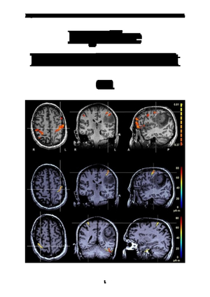 Kognitive Neurowissenschaften FS 24