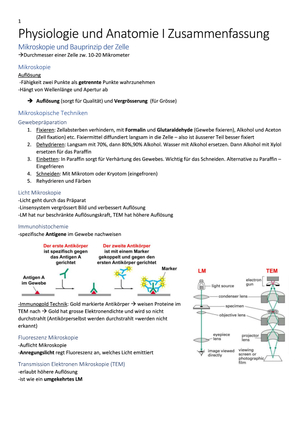 Zusammenfassung HS 17