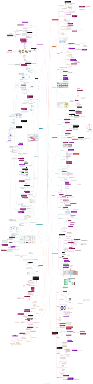 Verhaltensmedizin HS25