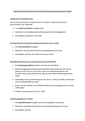 Klagen/Rechtsbehelfe & ihre Rechtsnatur/Rechtskraftwirkung/Spezielles FS 21