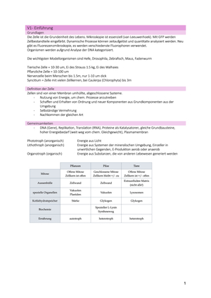 Titel des Files