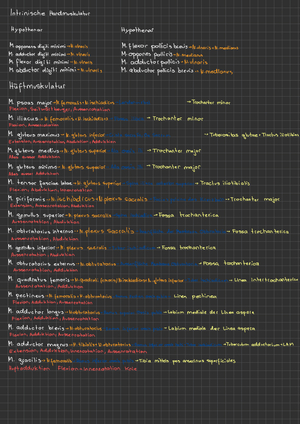 Zusammenfassung Muskeln für die Prüfung