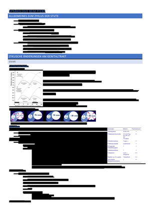 Titel des Files